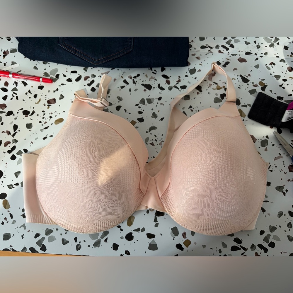 La Vie En Rose Blush Bra